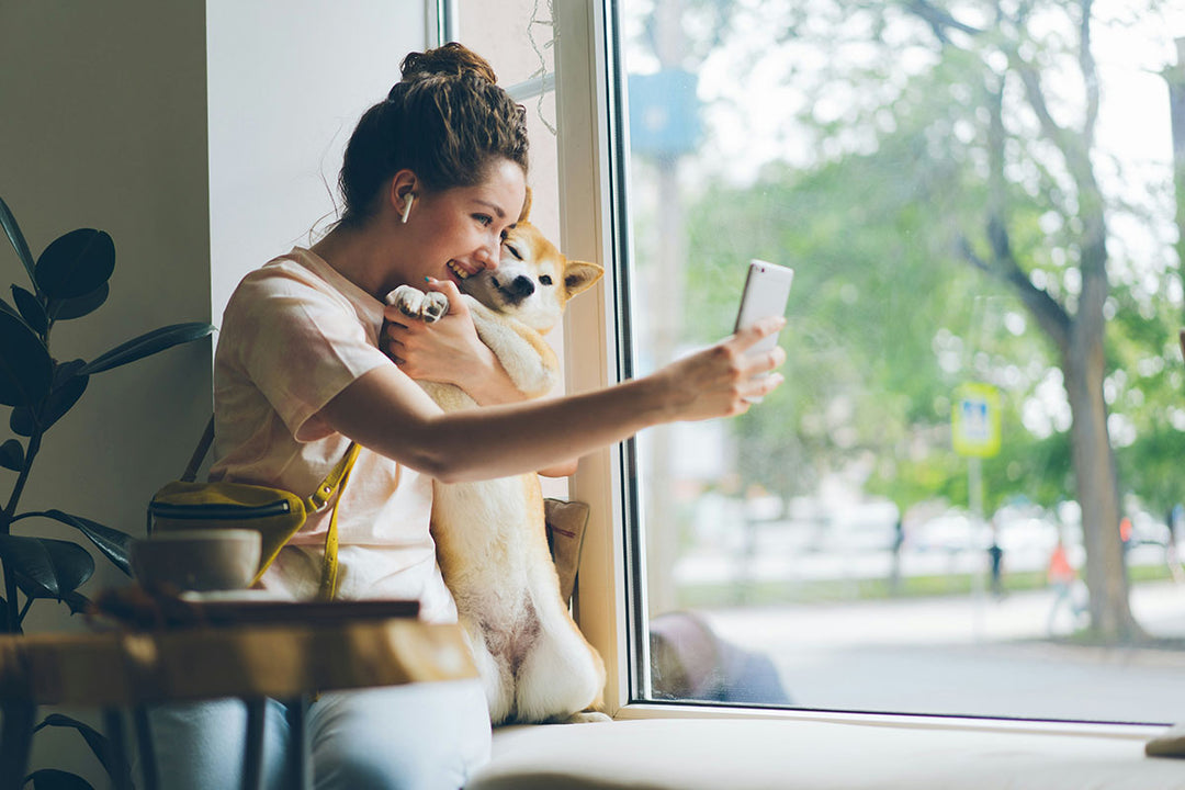 How Printing Photos of Your Pets Can Add a Splash of Fun to Your Life