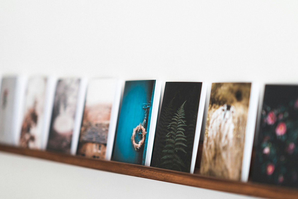 Capturing Moments: A Gallery of Inspiration for Your Home Décor