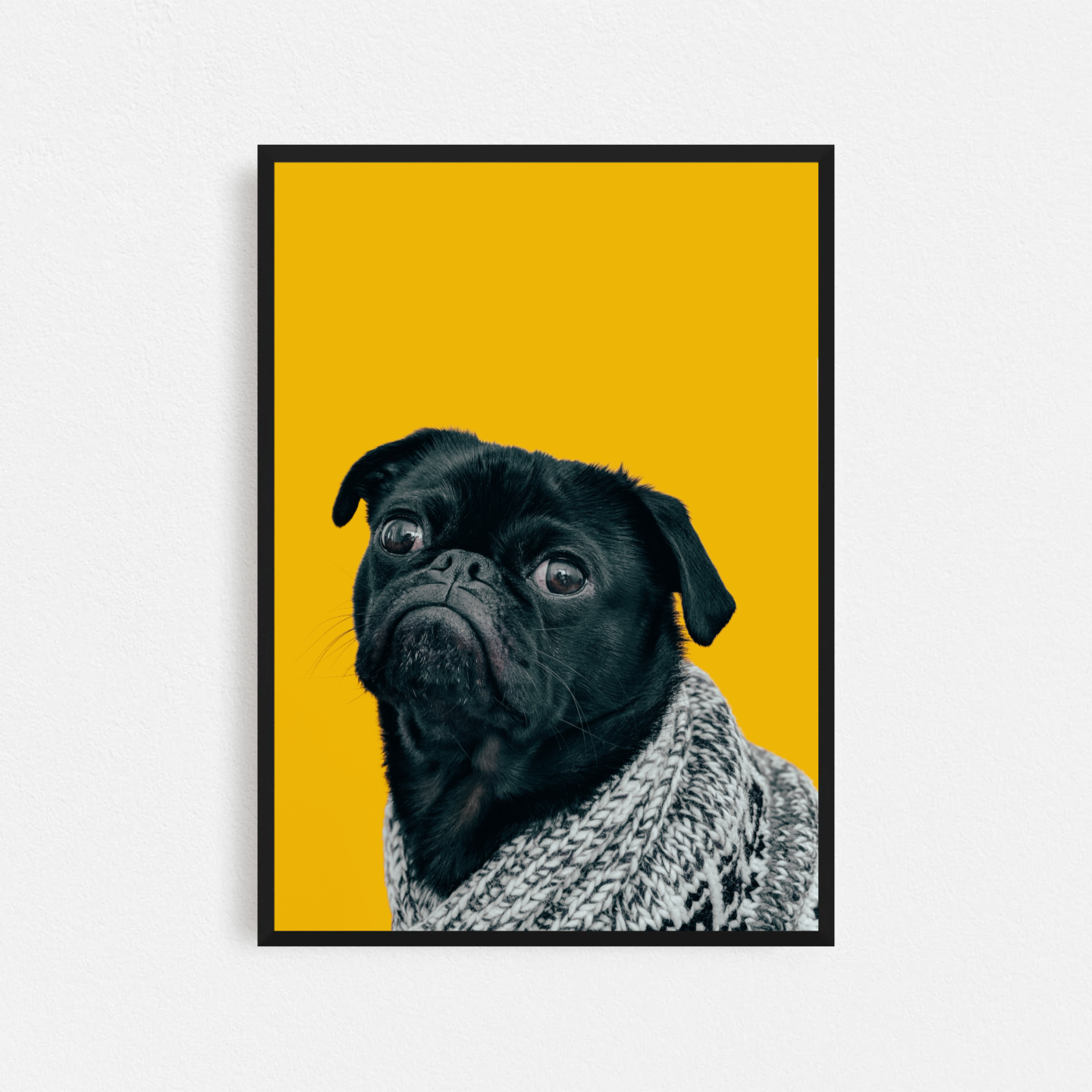 Pet Picture Print & Frames