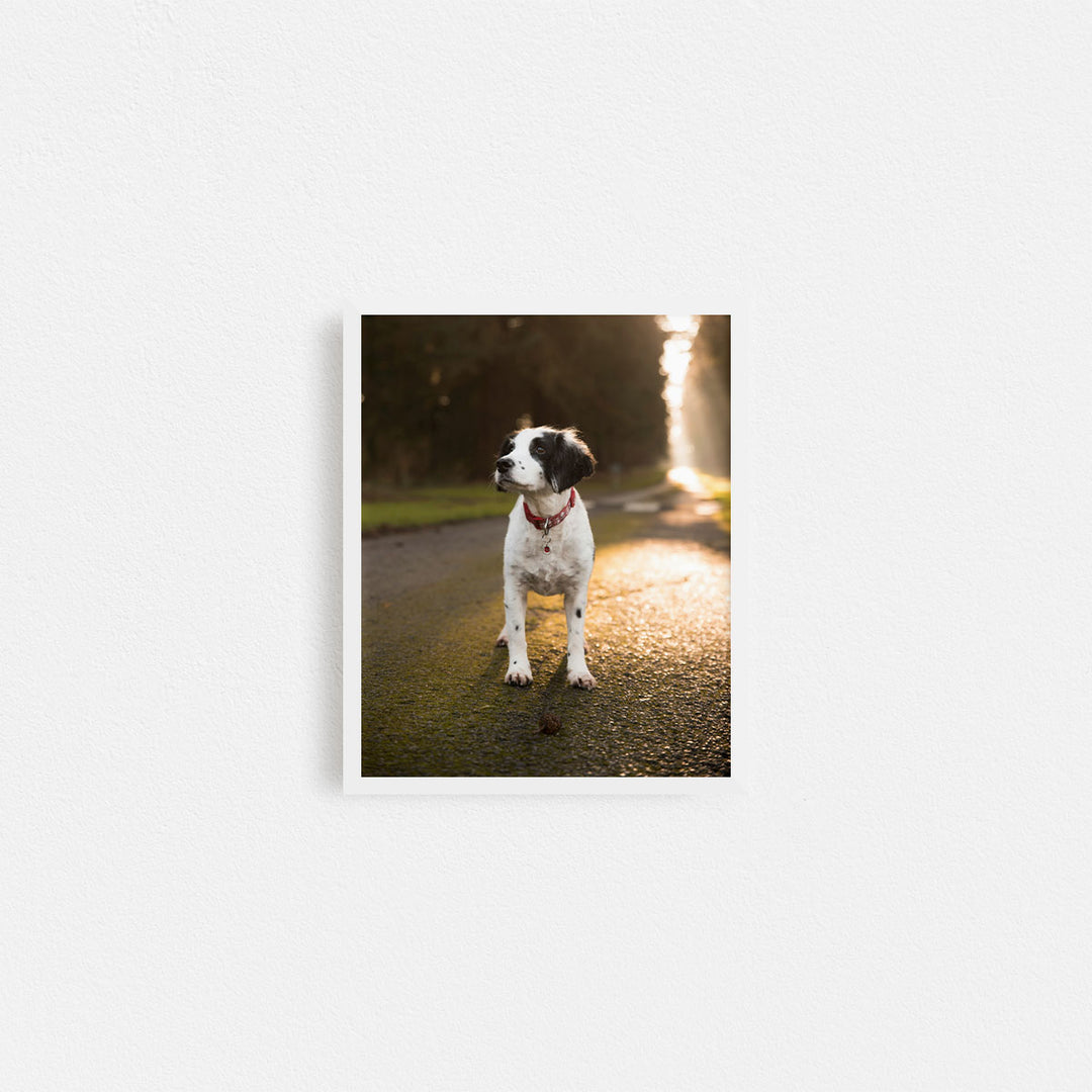 Print & Frame Your Photos in Rectangular Sizes - Curated Frames