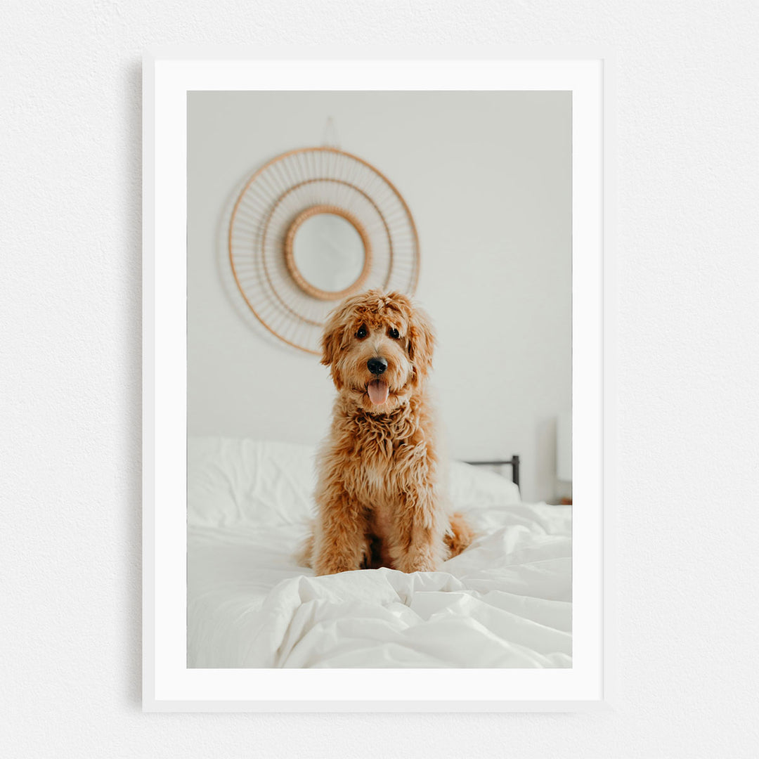 Print & Frame Your Photos in Rectangular Sizes - Curated Frames
