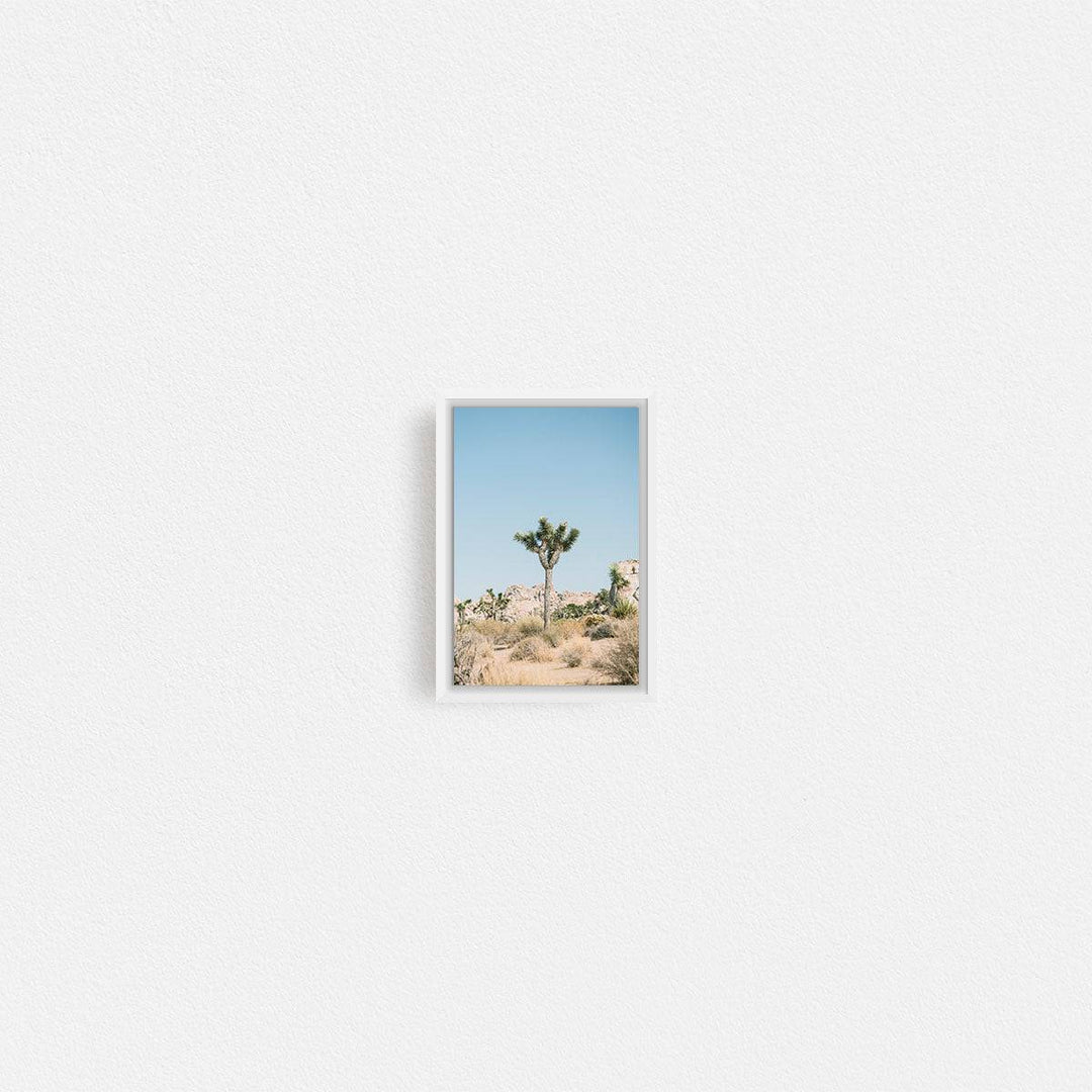 Print Your Photos on Canvas in Rectangular Sizes - Curated Frames