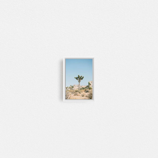 Print Your Photos on Canvas in Rectangular Sizes - Curated Frames