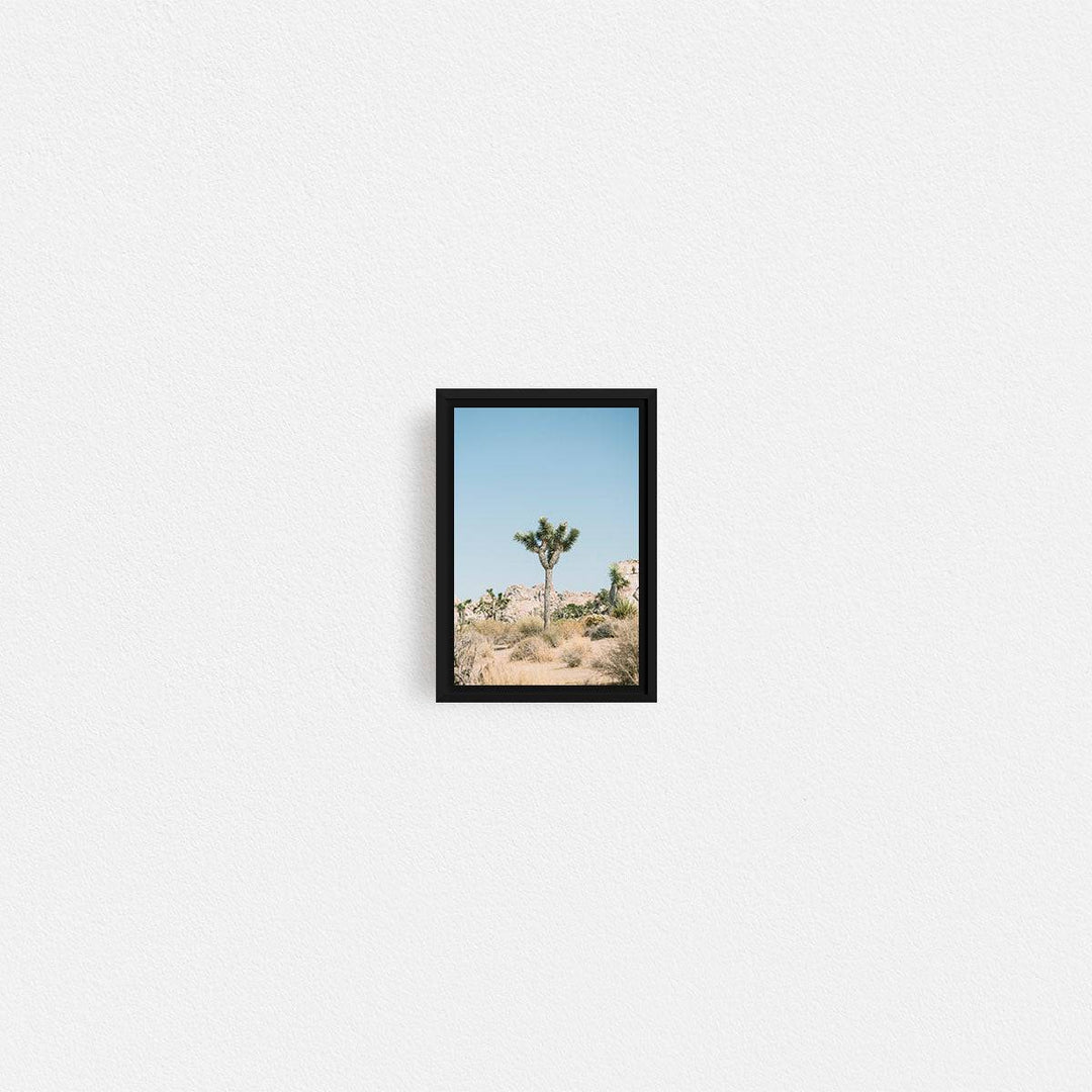 Print Your Photos on Canvas in Rectangular Sizes - Curated Frames