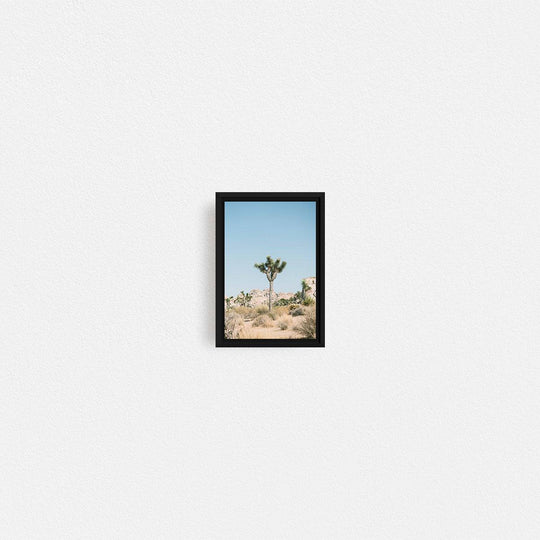 Print Your Photos on Canvas in Rectangular Sizes - Curated Frames