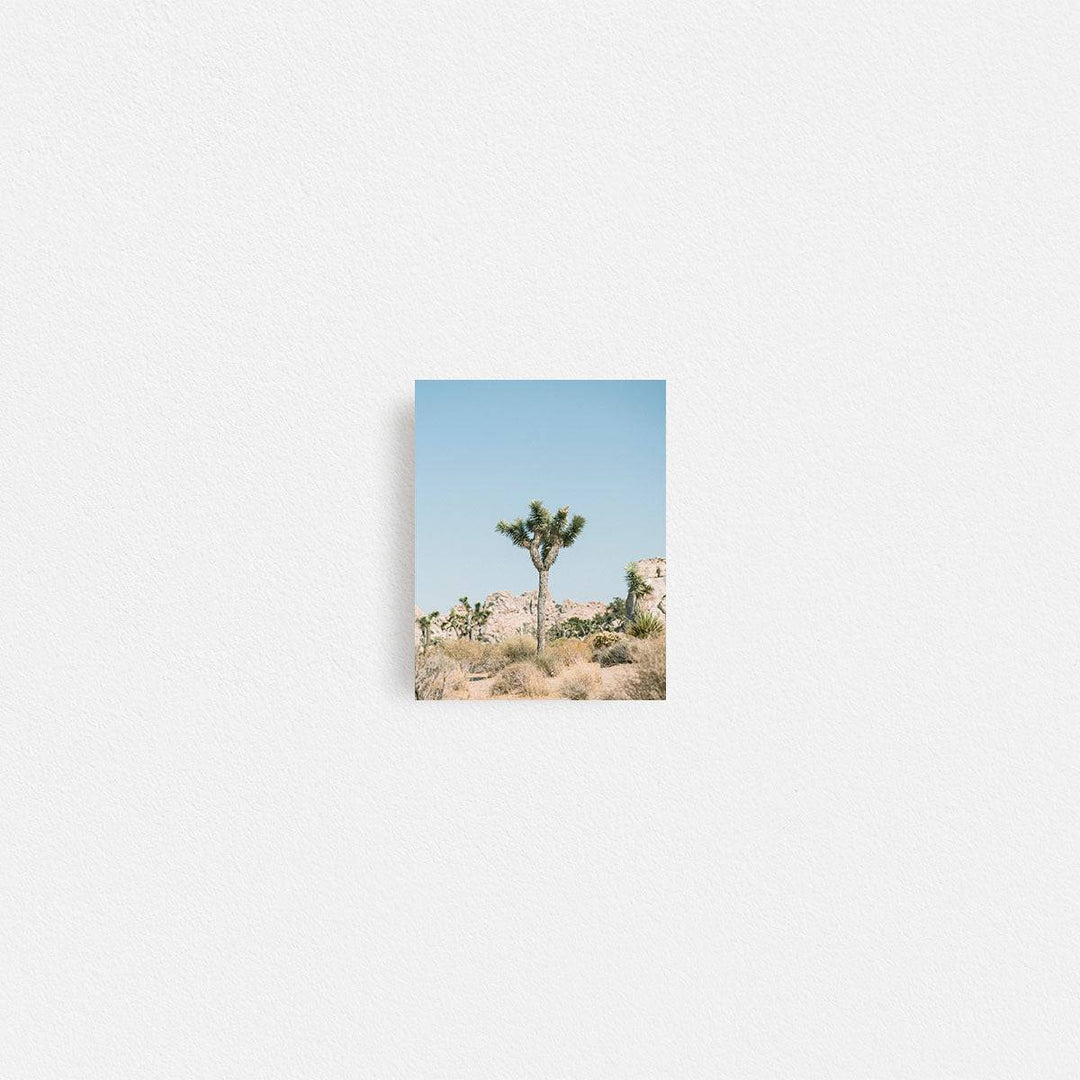 Print Your Photos on Canvas in Rectangular Sizes - Curated Frames