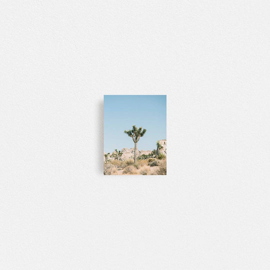 Print Your Photos on Canvas in Rectangular Sizes - Curated Frames