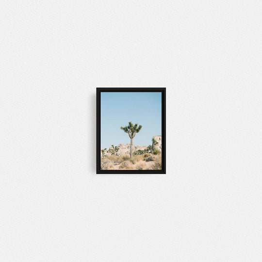 Print Your Photos on Canvas in Rectangular Sizes - Curated Frames