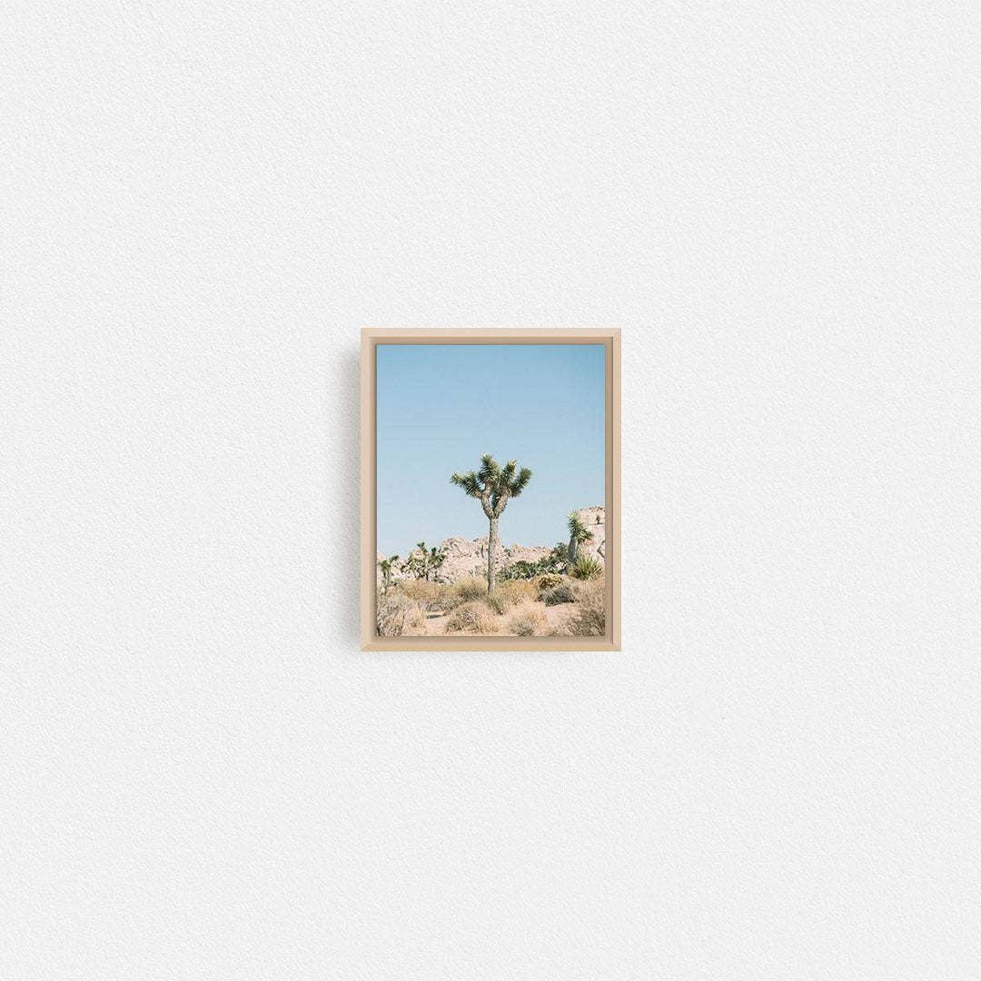 Print Your Photos on Canvas in Rectangular Sizes - Curated Frames