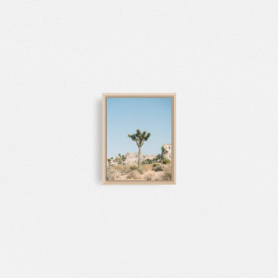 Print Your Photos on Canvas in Rectangular Sizes - Curated Frames