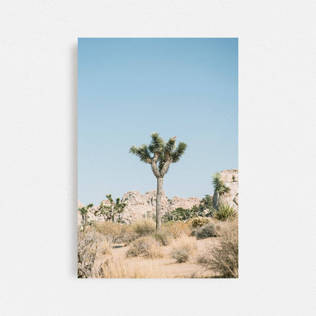 Print Your Photos on Canvas in Rectangular Sizes - Curated Frames