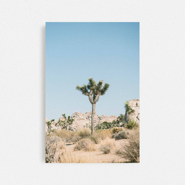 Print Your Photos on Canvas in Rectangular Sizes - Curated Frames