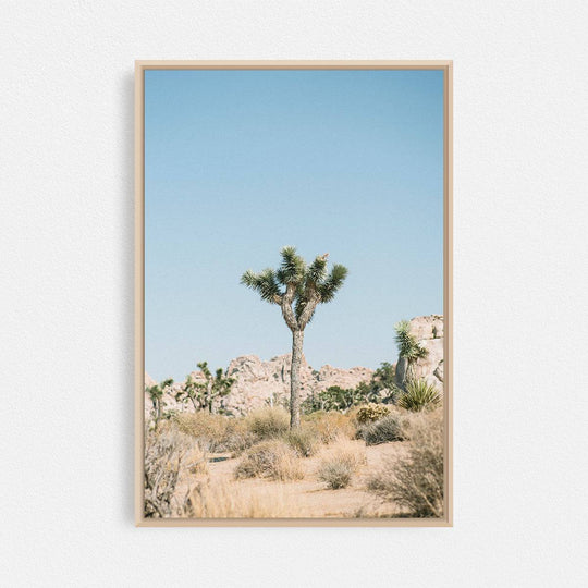 Print Your Photos on Canvas in Rectangular Sizes - Curated Frames