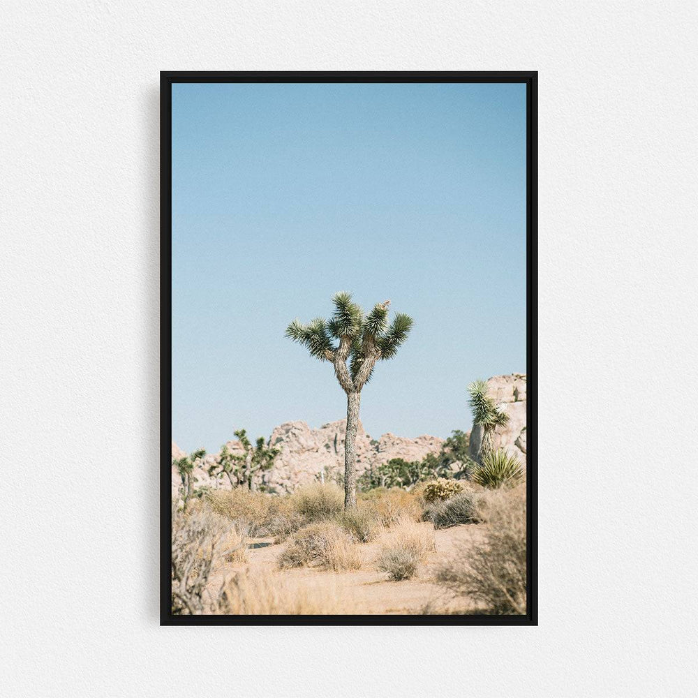 Print Your Photos on Canvas in Rectangular Sizes - Curated Frames
