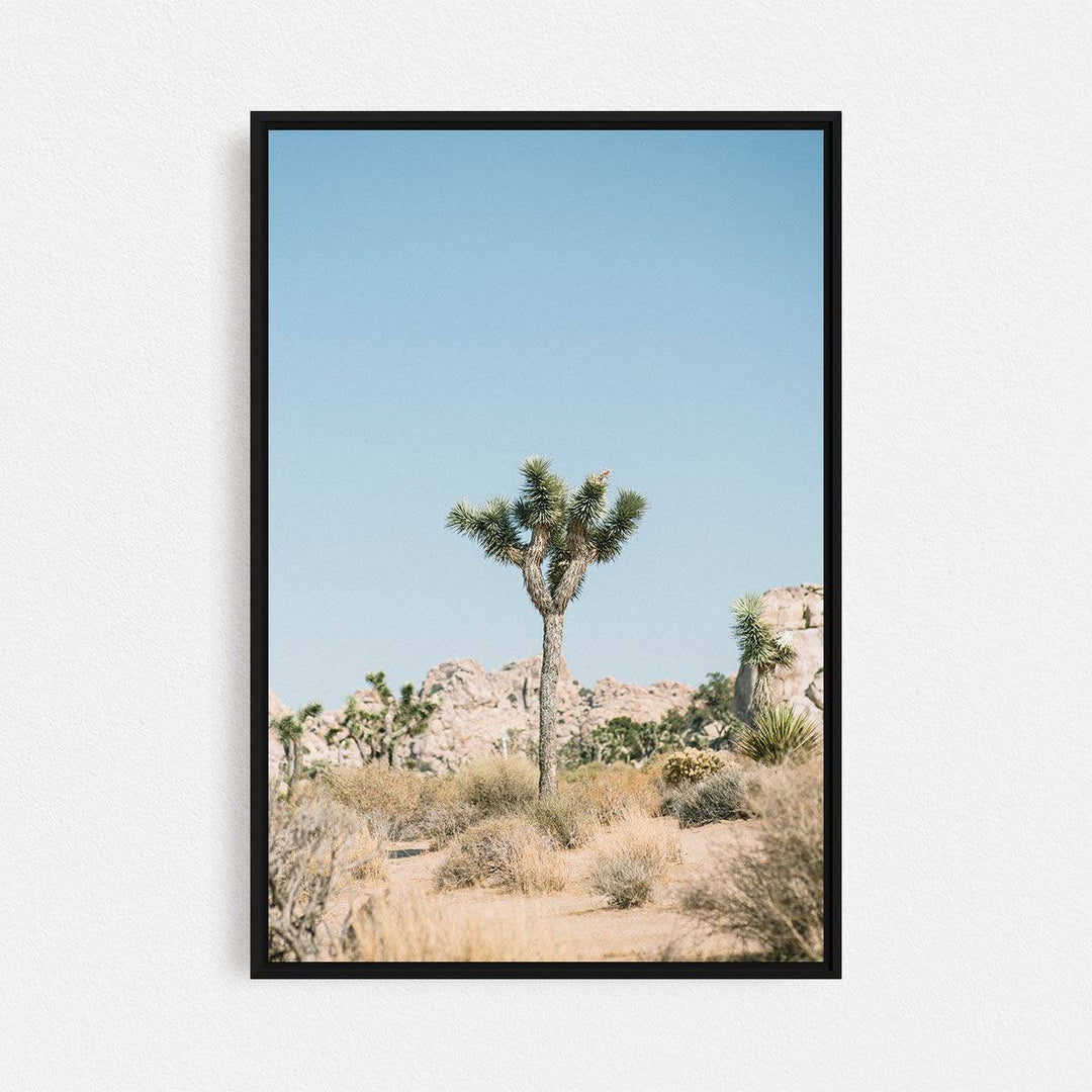 Print Your Photos on Canvas in Rectangular Sizes - Curated Frames