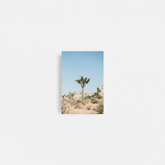 Print Your Photos on Canvas in Rectangular Sizes - Curated Frames
