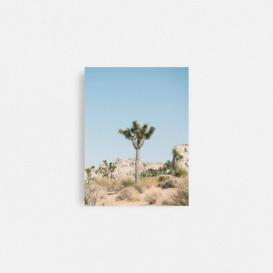 Print Your Photos on Canvas in Rectangular Sizes - Curated Frames
