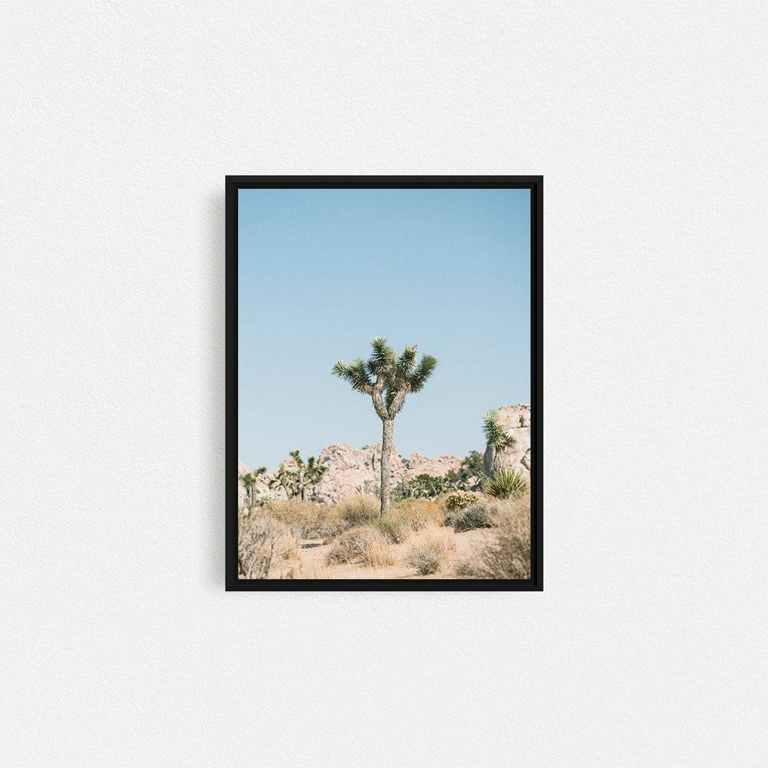 Print Your Photos on Canvas in Rectangular Sizes - Curated Frames