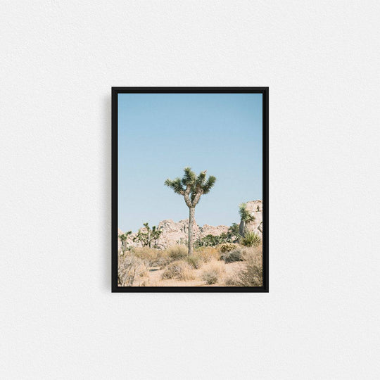 Print Your Photos on Canvas in Rectangular Sizes - Curated Frames
