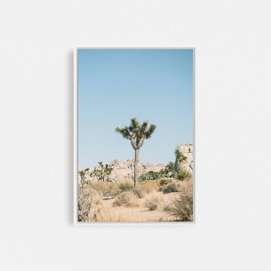 Print Your Photos on Canvas in Rectangular Sizes - Curated Frames