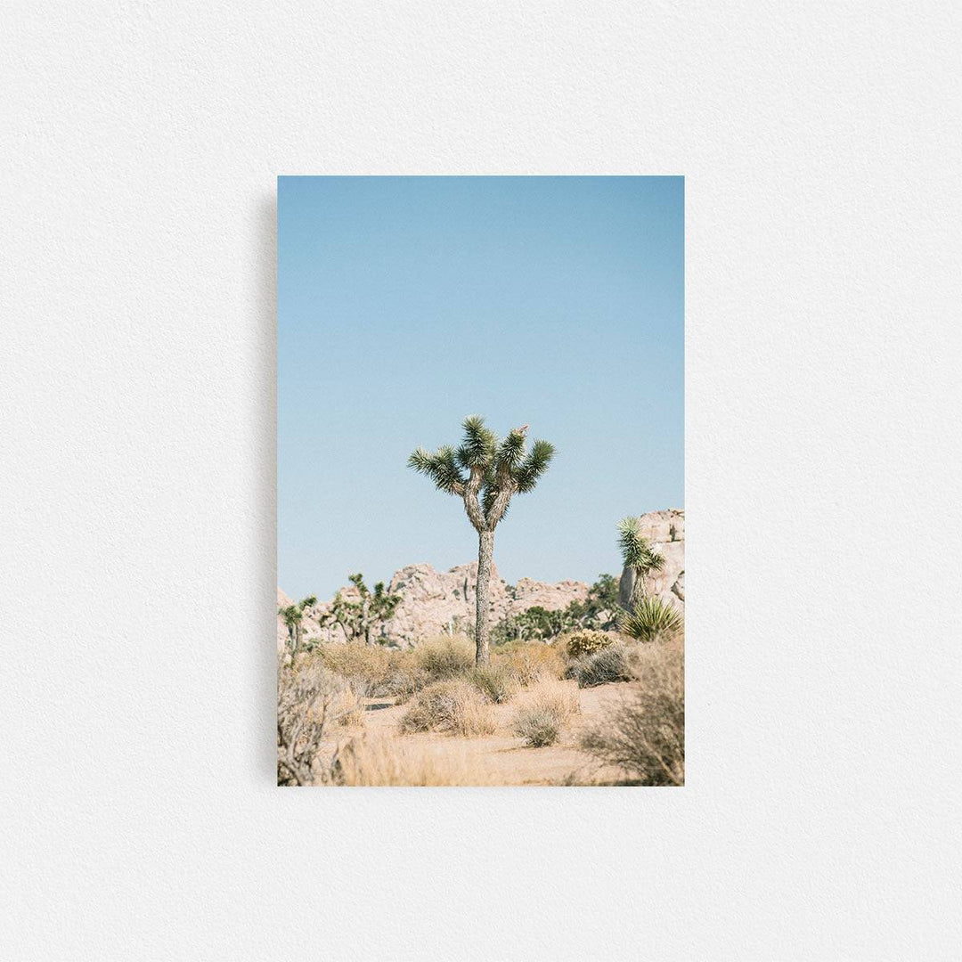 Print Your Photos on Canvas in Rectangular Sizes - Curated Frames