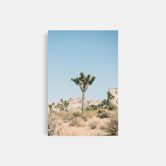 Print Your Photos on Canvas in Rectangular Sizes - Curated Frames