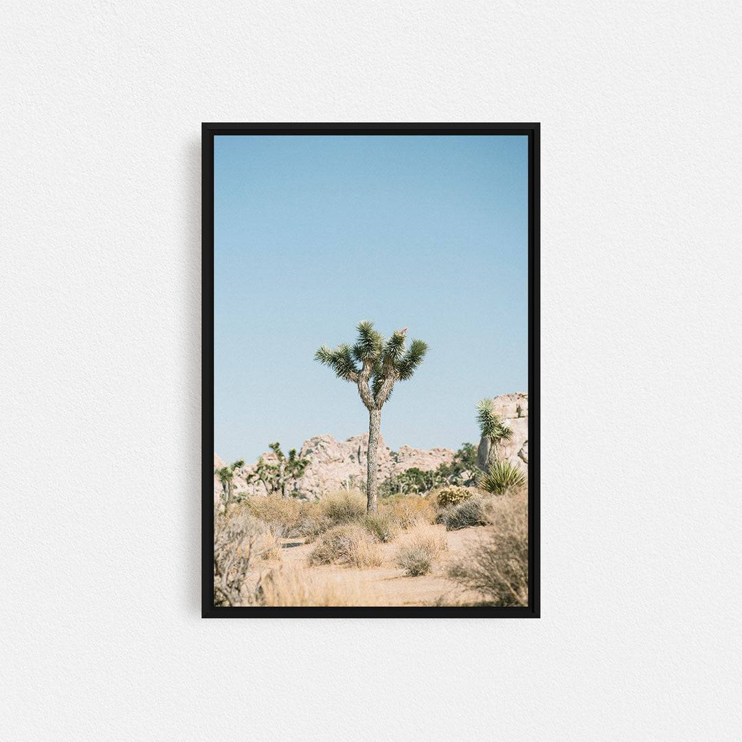 Print Your Photos on Canvas in Rectangular Sizes - Curated Frames