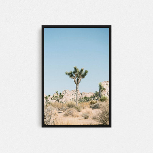 Print Your Photos on Canvas in Rectangular Sizes - Curated Frames