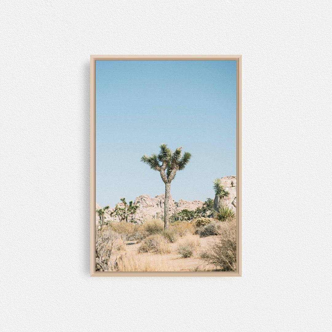Print Your Photos on Canvas in Rectangular Sizes - Curated Frames