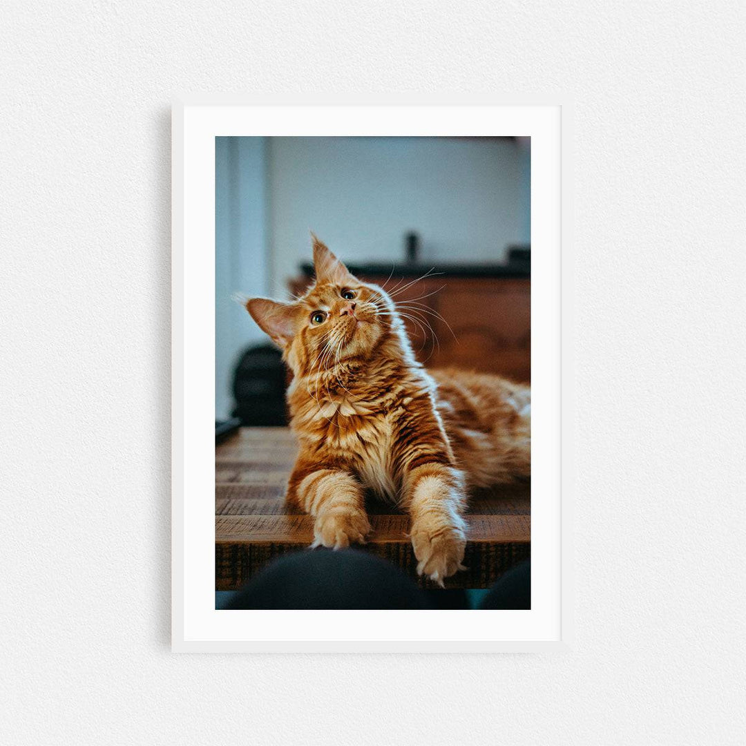 Print & Frame Your Photos in Rectangular Sizes - Curated Frames