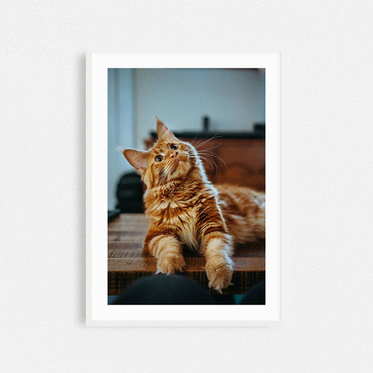 Print & Frame Your Photos in Rectangular Sizes - Curated Frames