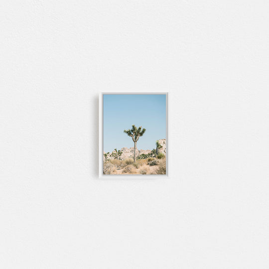 Print Your Photos on Canvas in Rectangular Sizes - Curated Frames