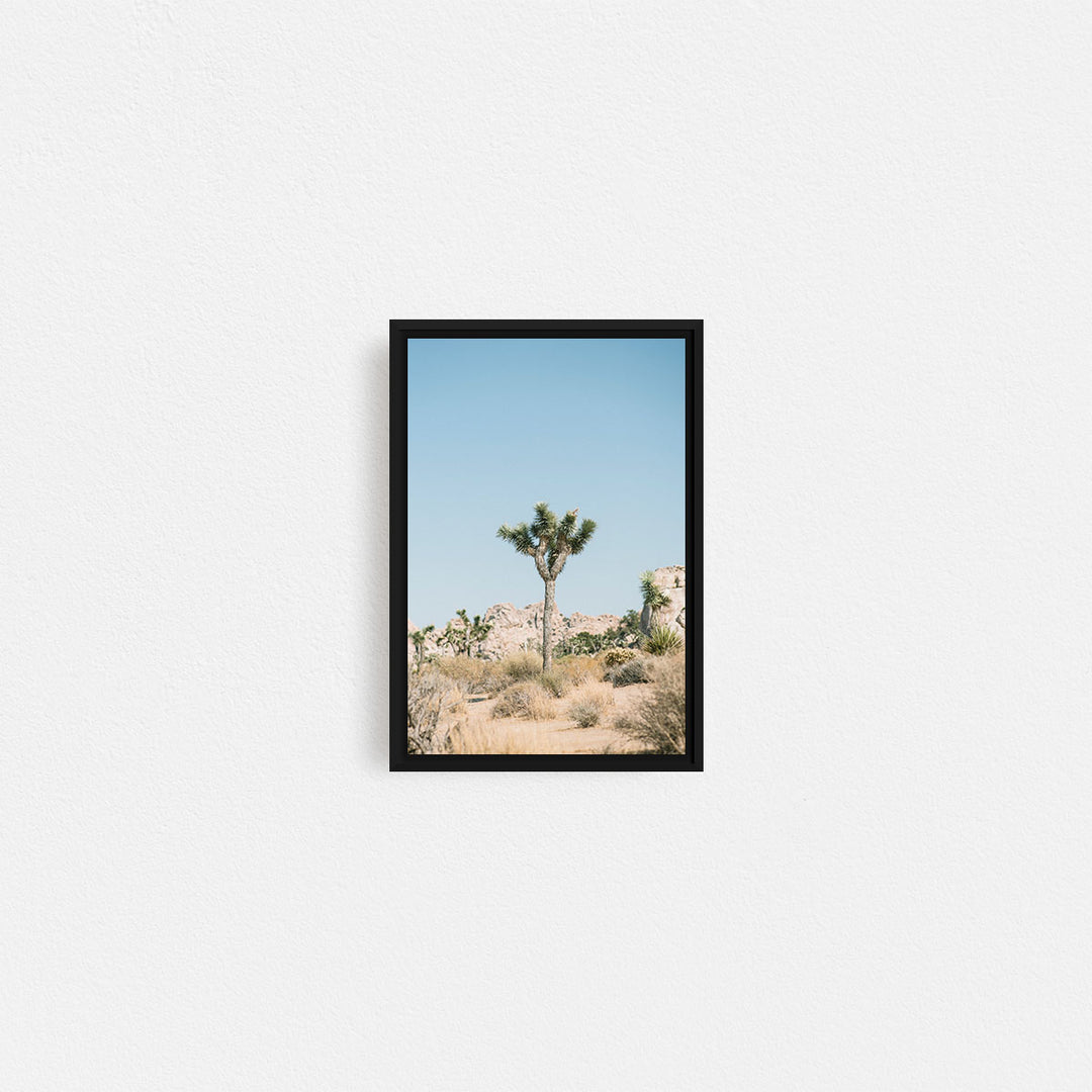 Print Your Photos on Canvas in Rectangular Sizes - Curated Frames