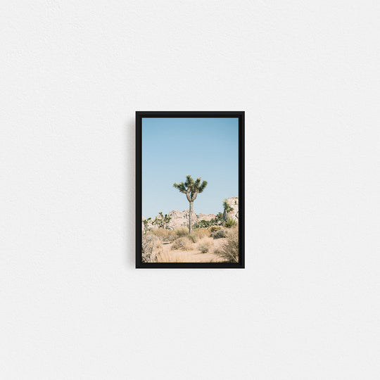 Print Your Photos on Canvas in Rectangular Sizes - Curated Frames