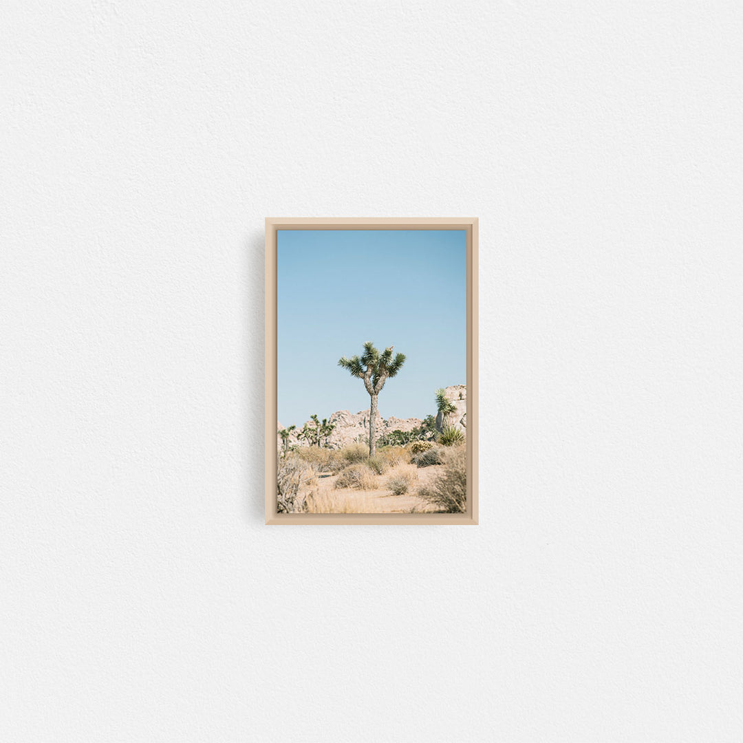 Print Your Photos on Canvas in Rectangular Sizes - Curated Frames