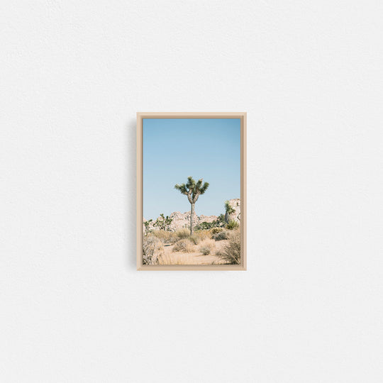 Print Your Photos on Canvas in Rectangular Sizes - Curated Frames