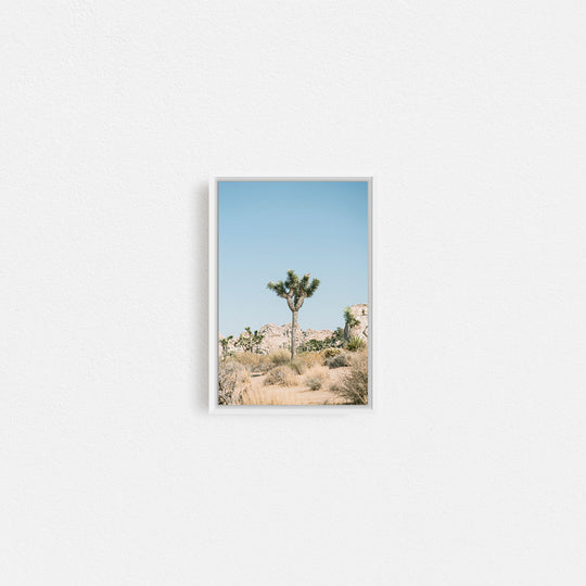 Print Your Photos on Canvas in Rectangular Sizes - Curated Frames