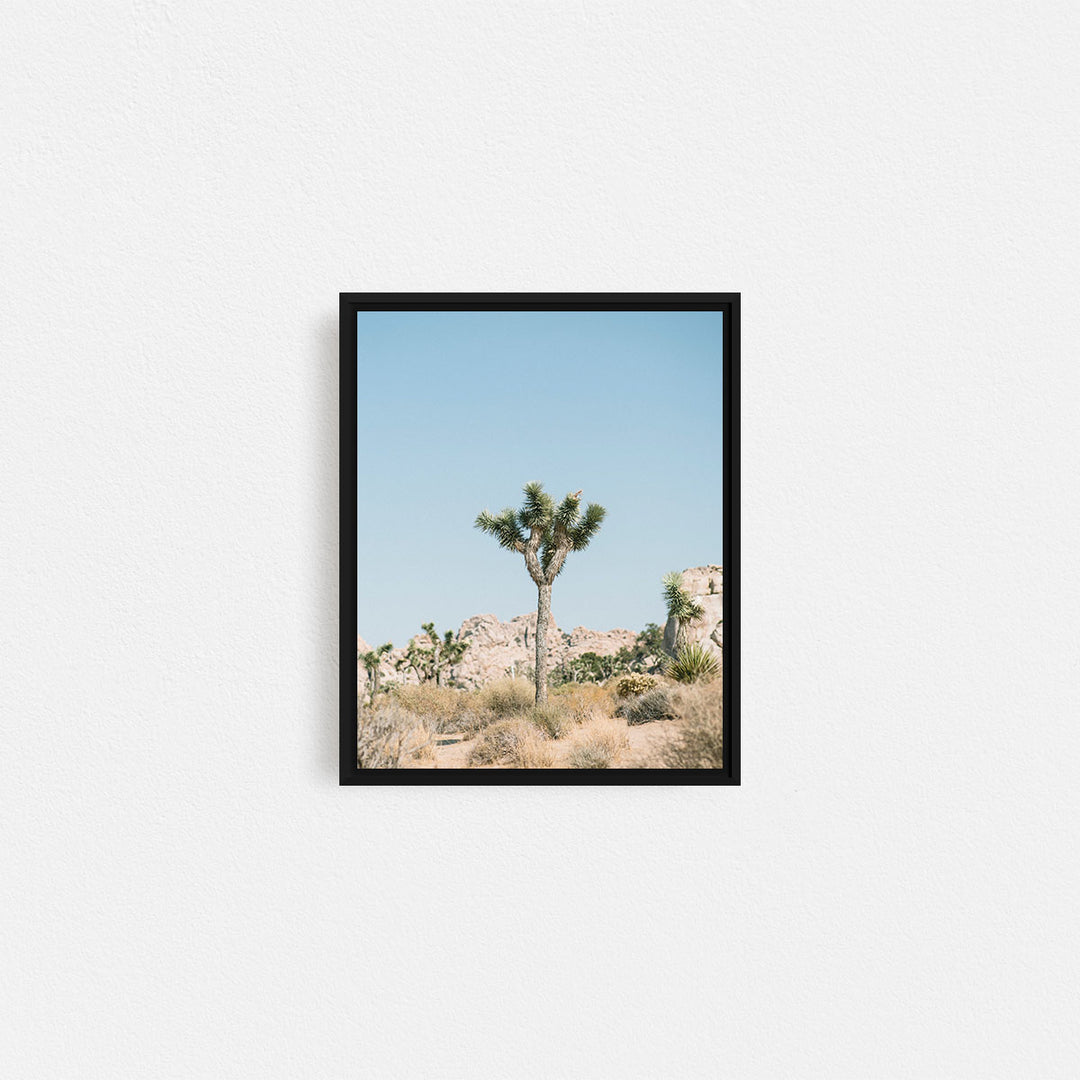 Print Your Photos on Canvas in Rectangular Sizes - Curated Frames