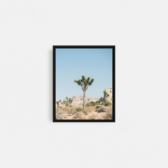 Print Your Photos on Canvas in Rectangular Sizes - Curated Frames