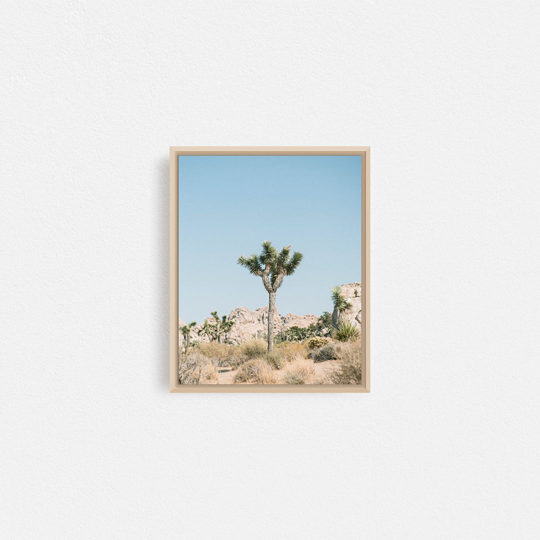 Print Your Photos on Canvas in Rectangular Sizes - Curated Frames