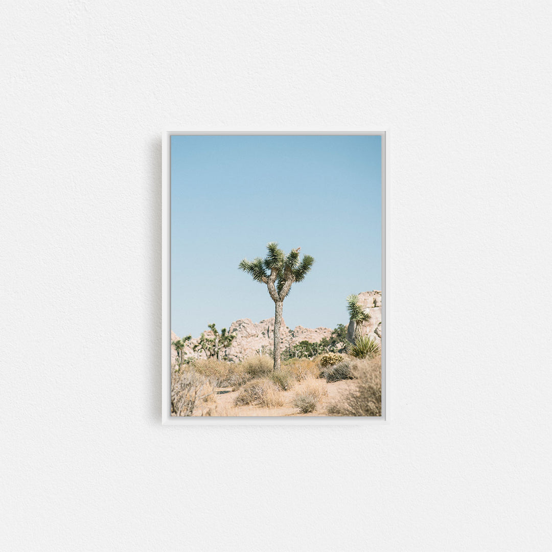 Print Your Photos on Canvas in Rectangular Sizes - Curated Frames