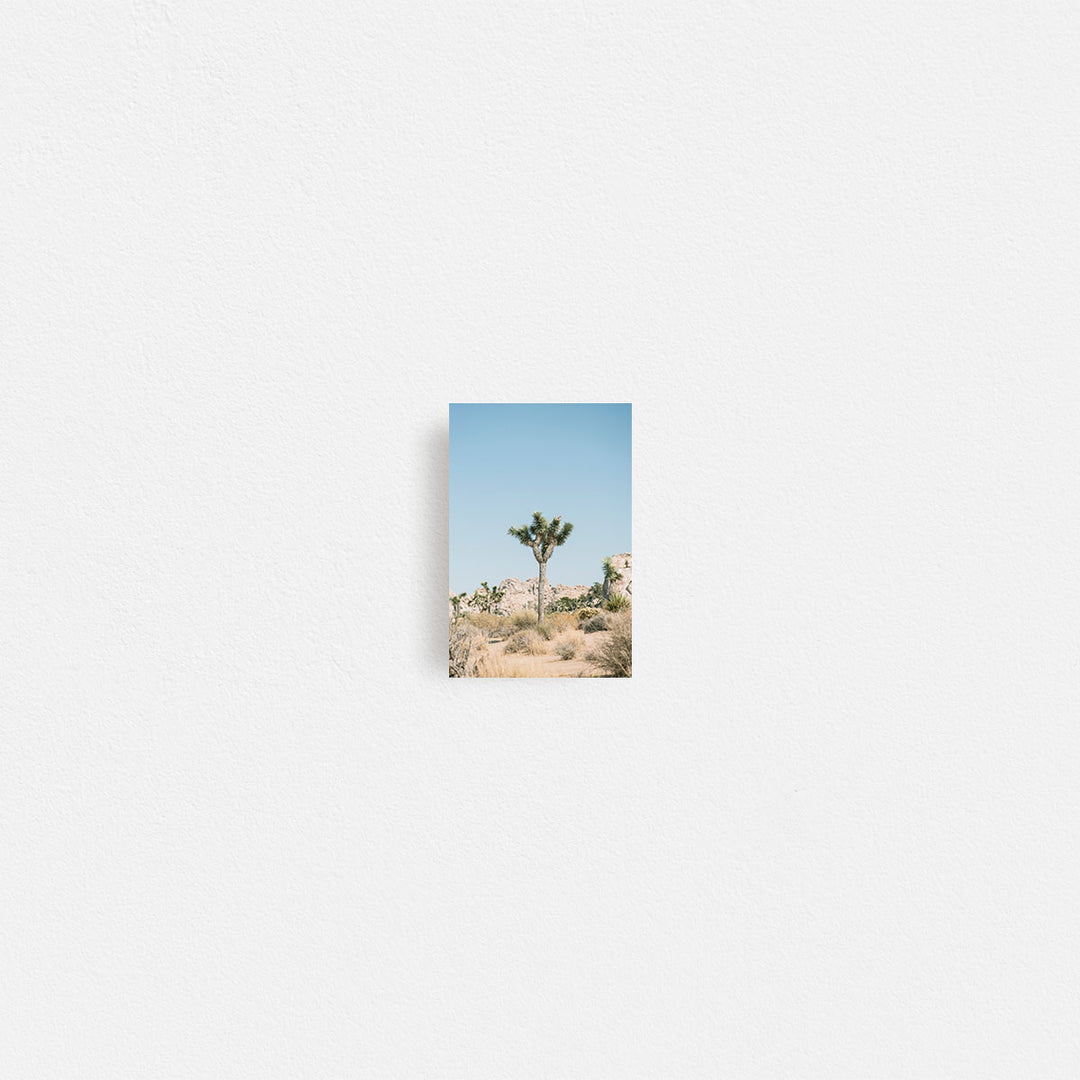 Print Your Photos on Canvas in Rectangular Sizes - Curated Frames