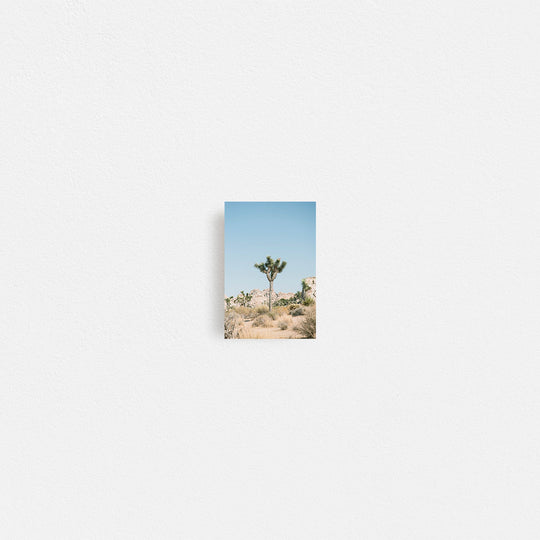 Print Your Photos on Canvas in Rectangular Sizes - Curated Frames