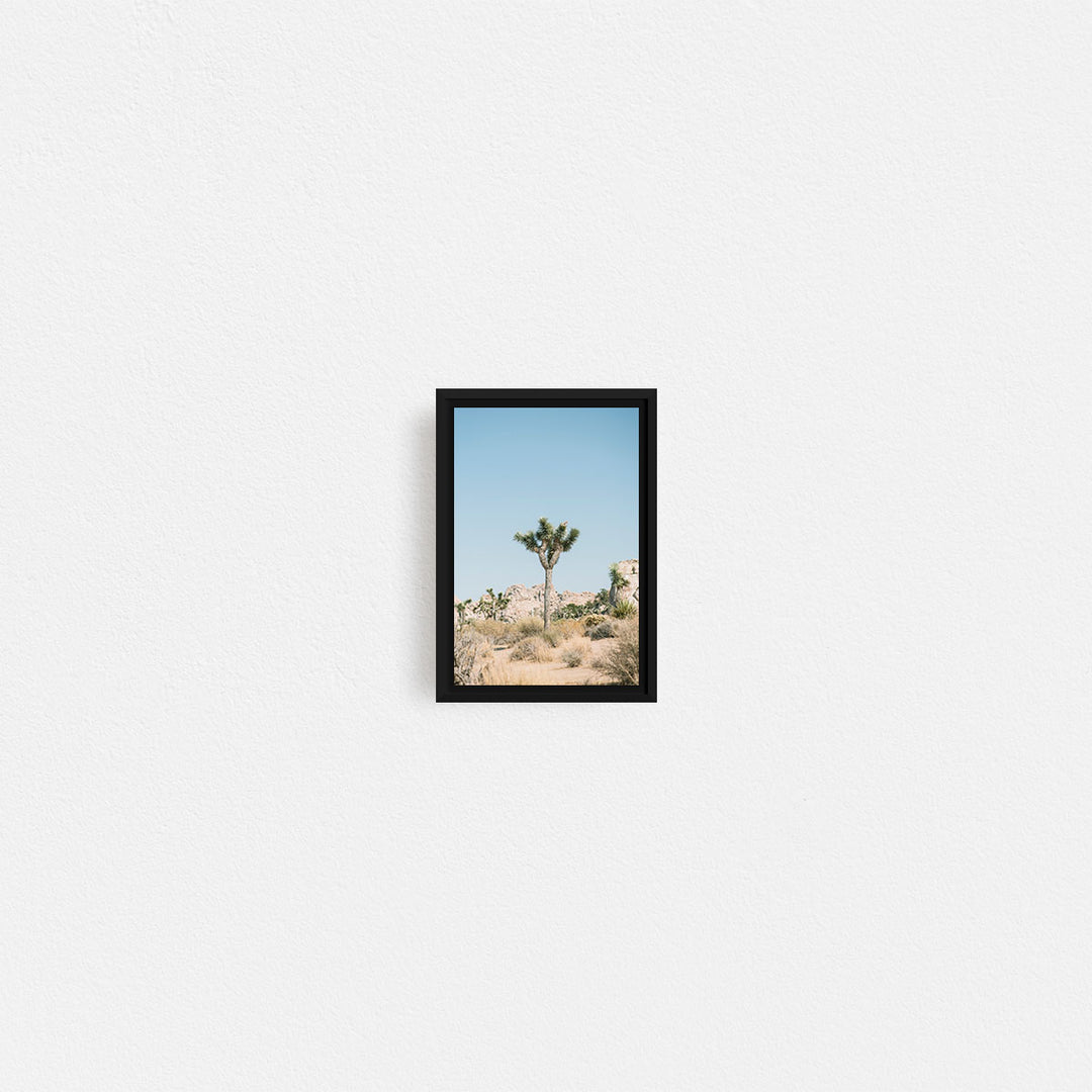 Print Your Photos on Canvas in Rectangular Sizes - Curated Frames