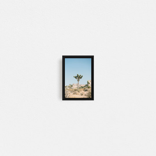 Print Your Photos on Canvas in Rectangular Sizes - Curated Frames