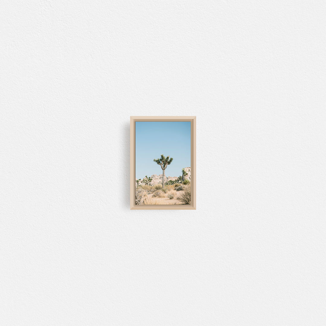 Print Your Photos on Canvas in Rectangular Sizes - Curated Frames