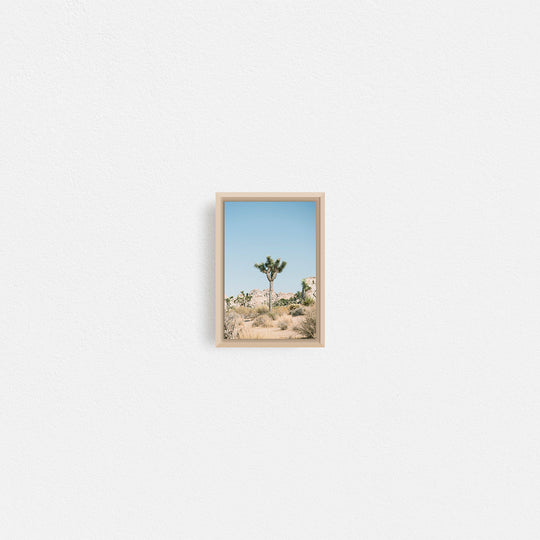 Print Your Photos on Canvas in Rectangular Sizes - Curated Frames