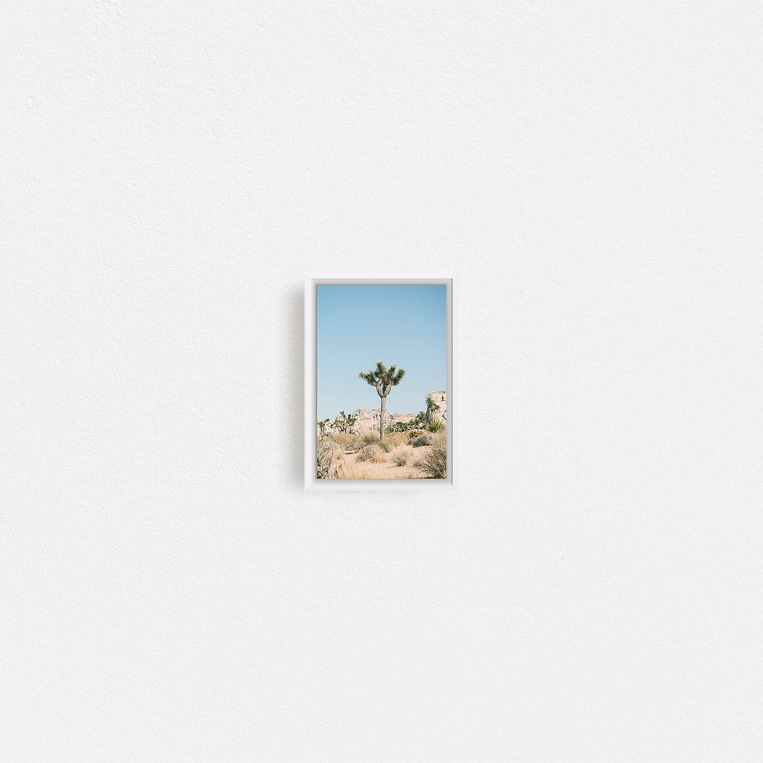 Print Your Photos on Canvas in Rectangular Sizes - Curated Frames