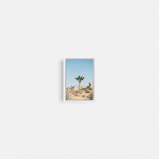 Print Your Photos on Canvas in Rectangular Sizes - Curated Frames